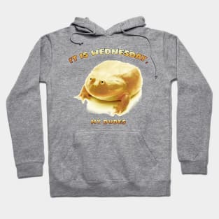 It is Wednesday my Dudes Hoodie